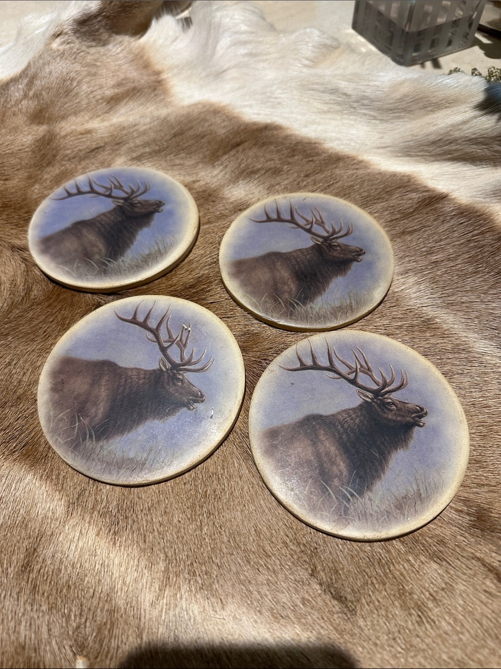 Set of 4 Elk Coasters in Brown and Cream